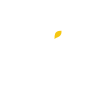 icons8-wix-100